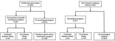 Prior Stroke and Age Predict Acute Ischemic Stroke Among Hospitalized COVID-19 Patients: A Derivation and Validation Study